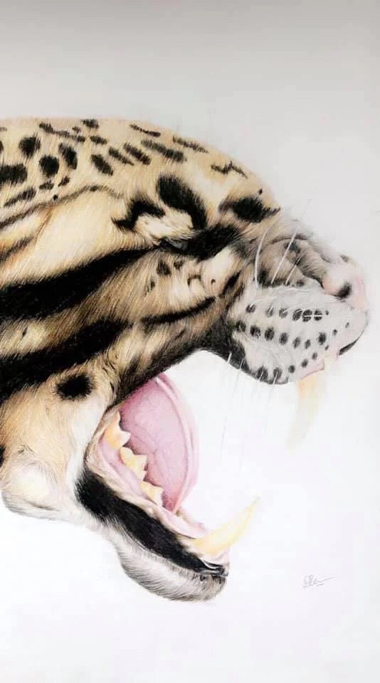 Leopards Roar