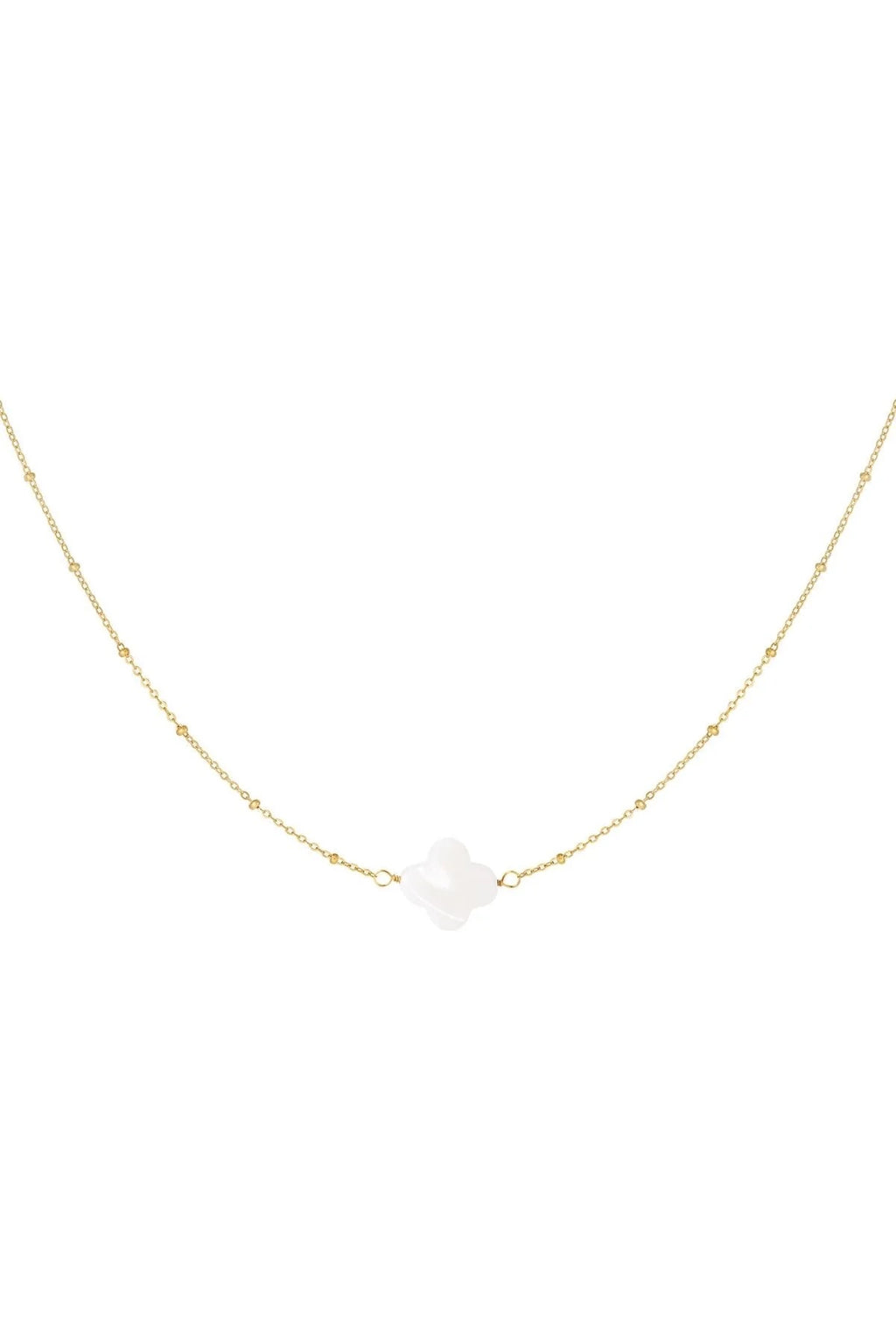 Ketting met Zeeschelp Klaver