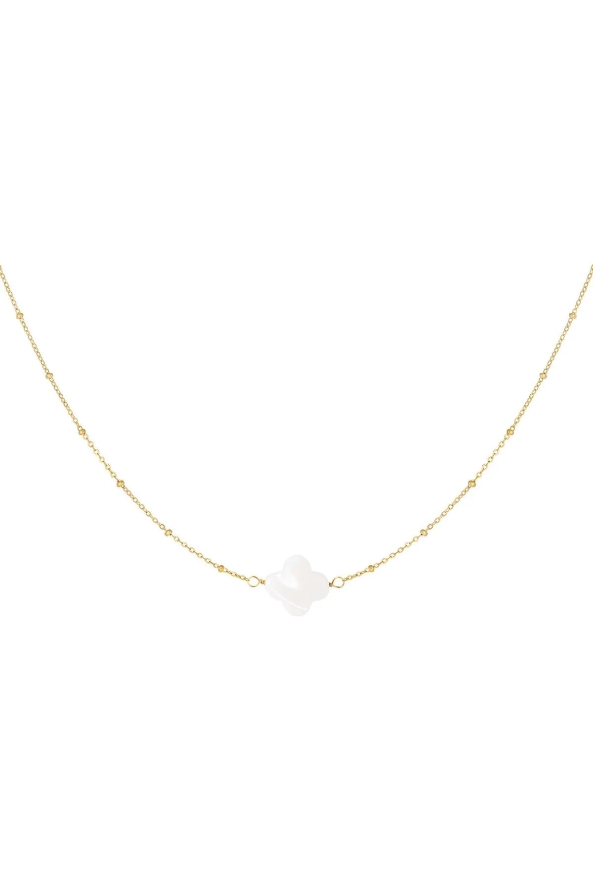 Ketting met Zeeschelp Klaver