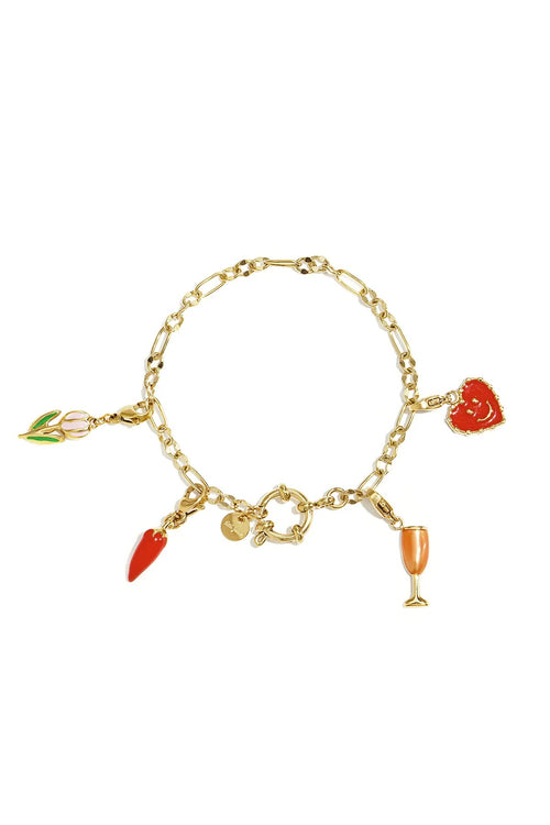 Armband Met Frontsluiting En Variërende Schakels