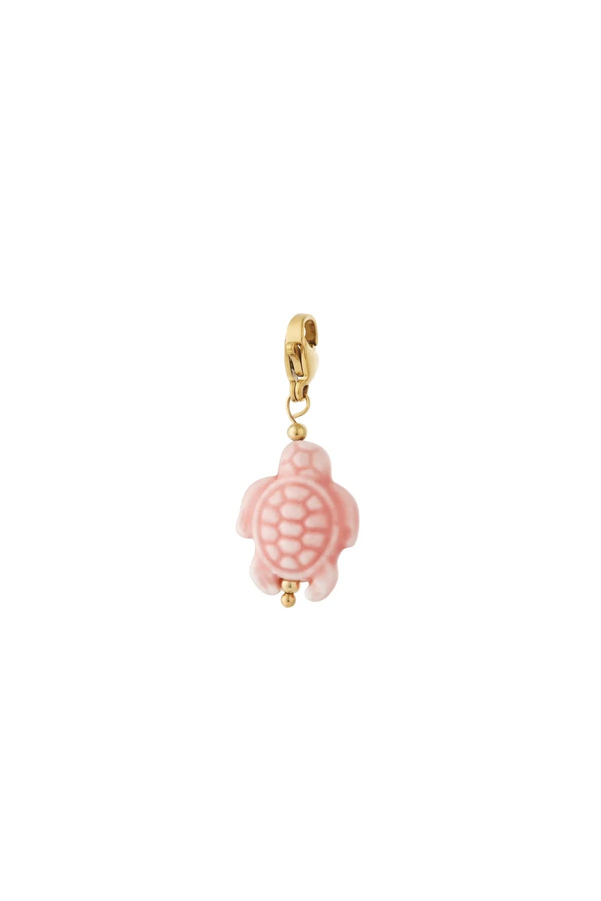 Pastelkleurige Schildpad DIY Bedel